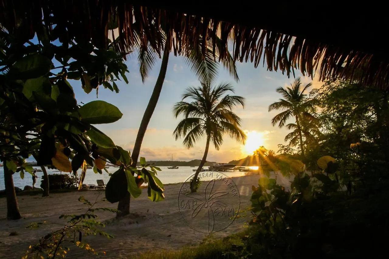 En Bord De Plage Baie Nettle, Appart 4 Couchages Tout Renove Sandy Ground アパート